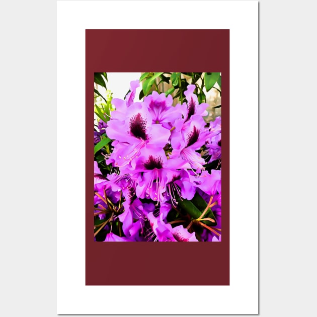 The Rhododendron Wall Art by PictureNZ